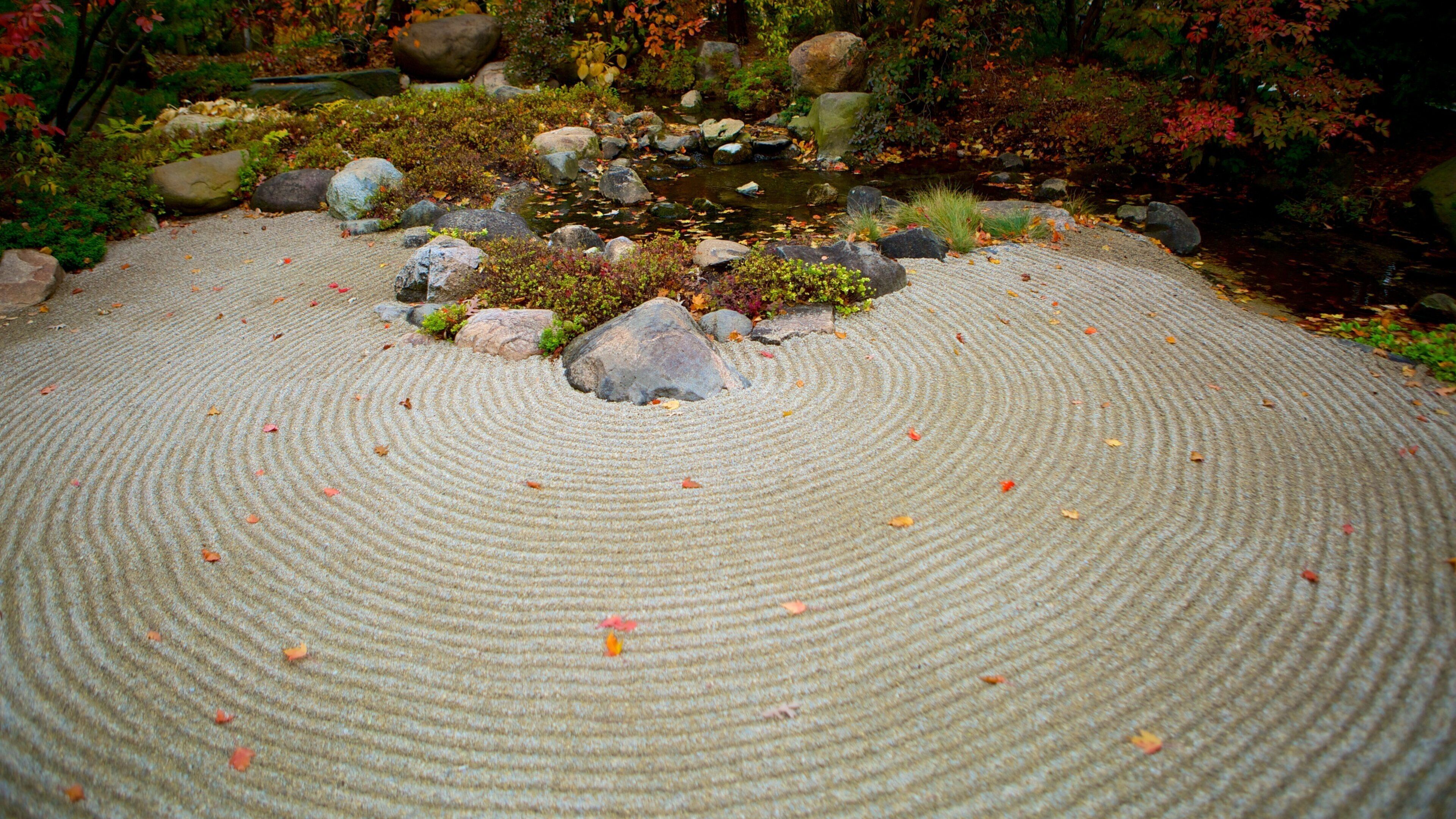 Anderson Japanese Gardens que incluye jardín