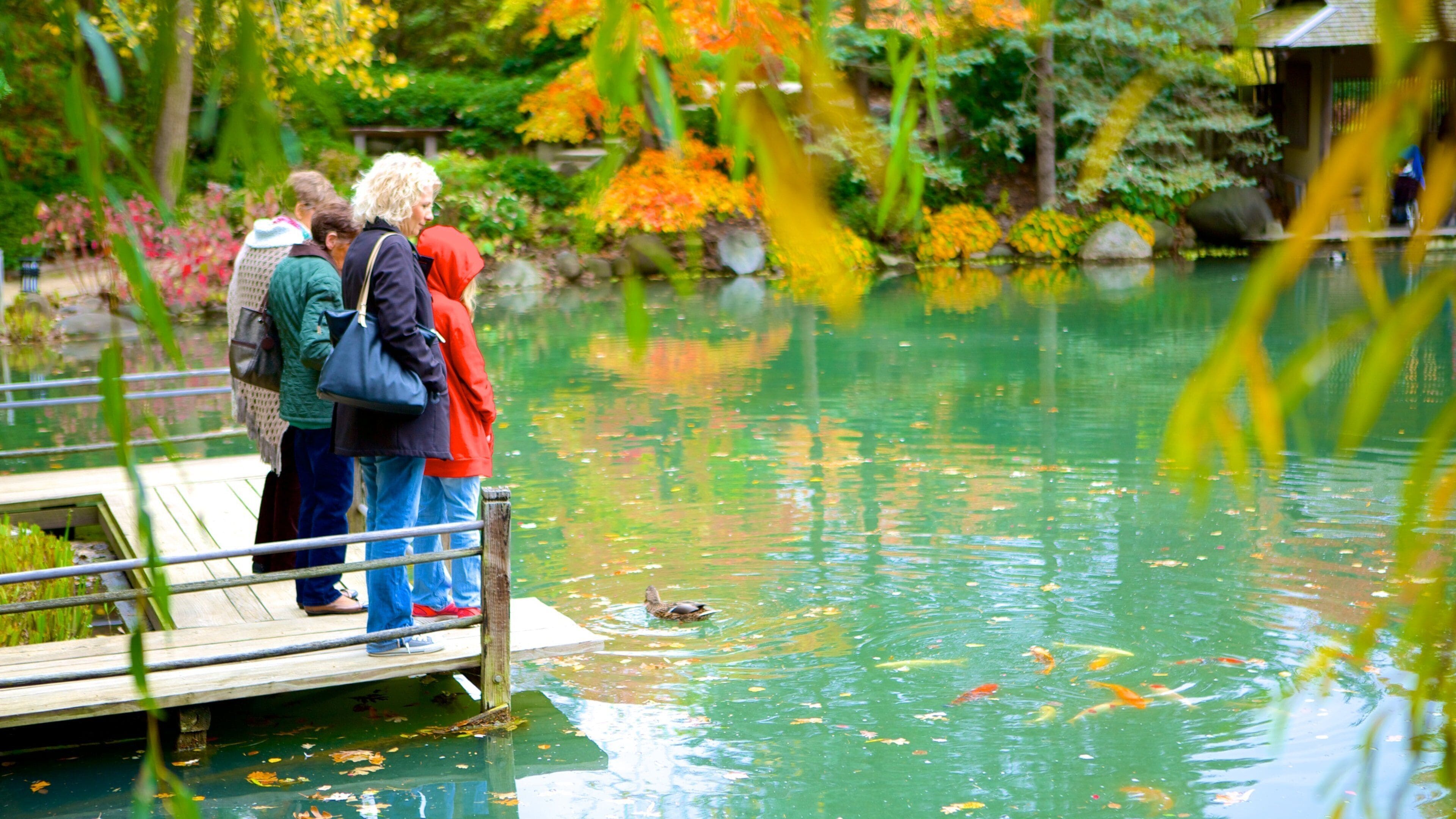 安德森日本花园