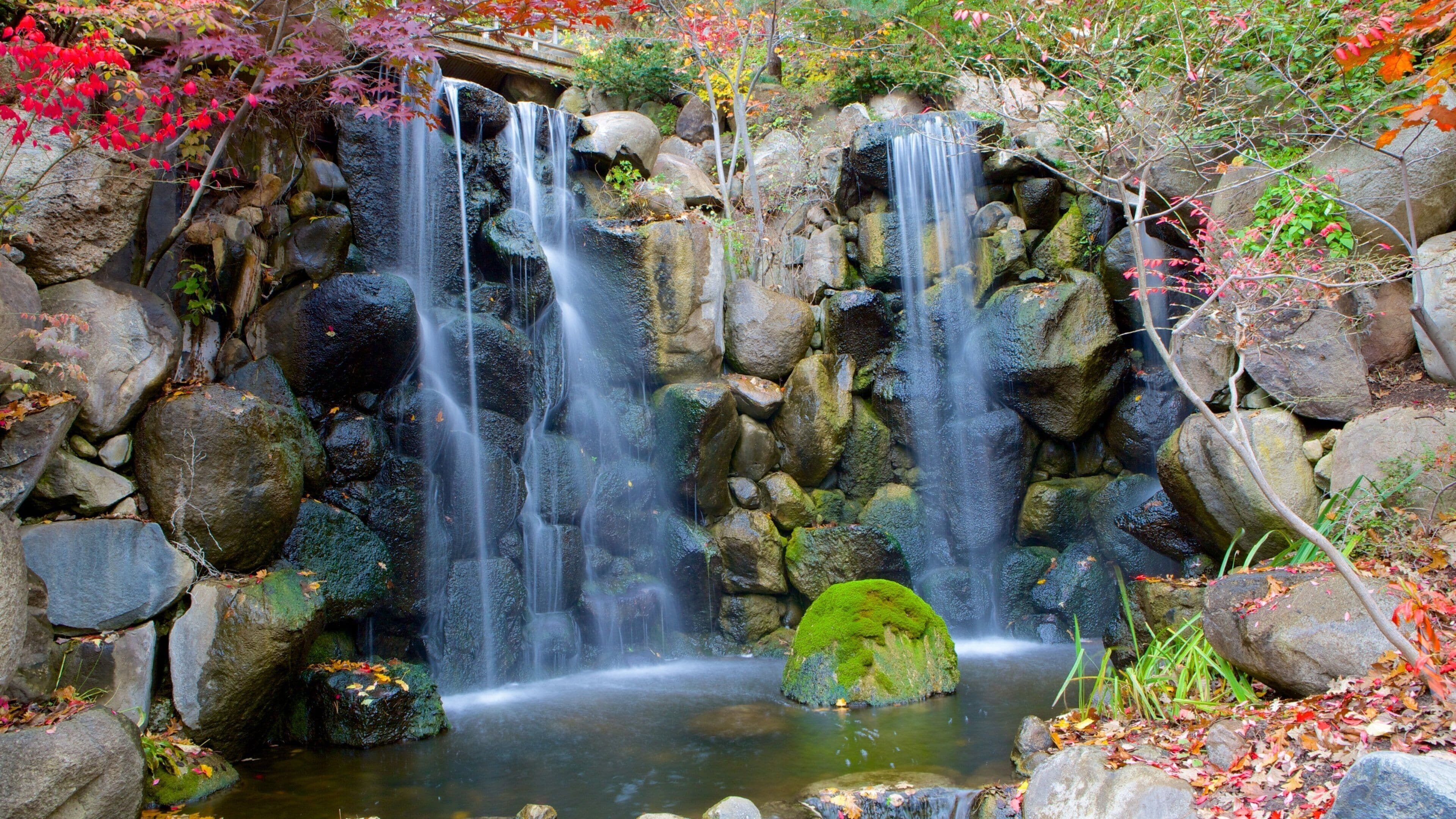 Een waterval die over rotsen stroomt in een tuin met herfstbladeren.