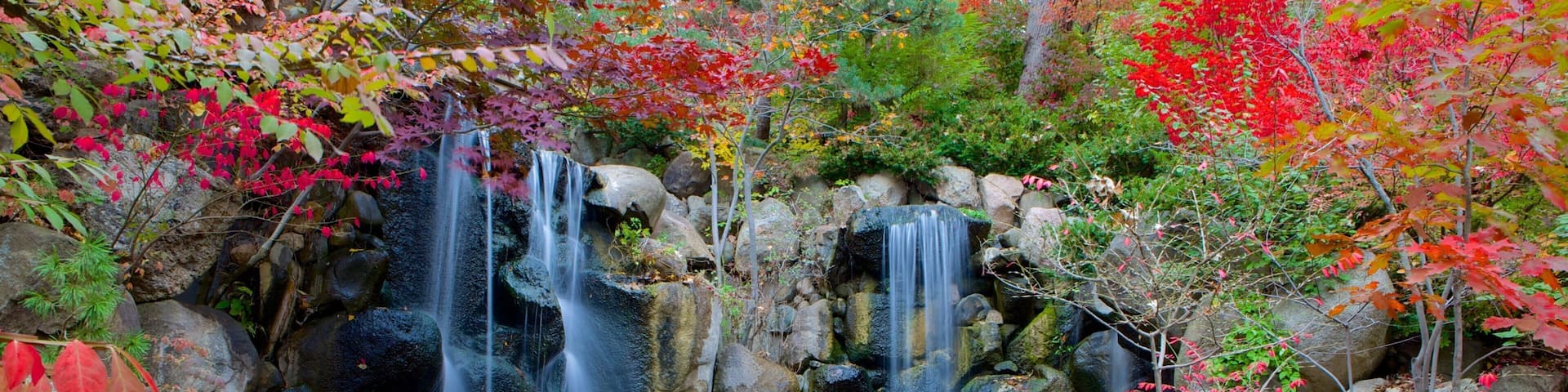 Anderson Japanese Gardens showing a waterfall and fall colors