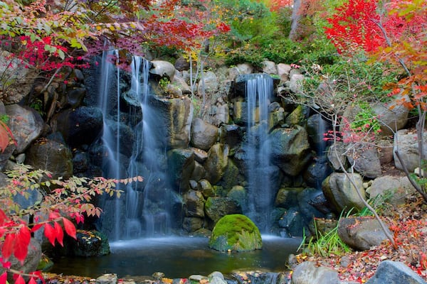 Anderson Japanese Gardens showing a waterfall and fall colors