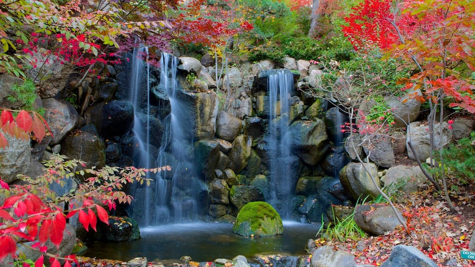 A waterfall cascading over rocks in a forested area with autumn foliage.