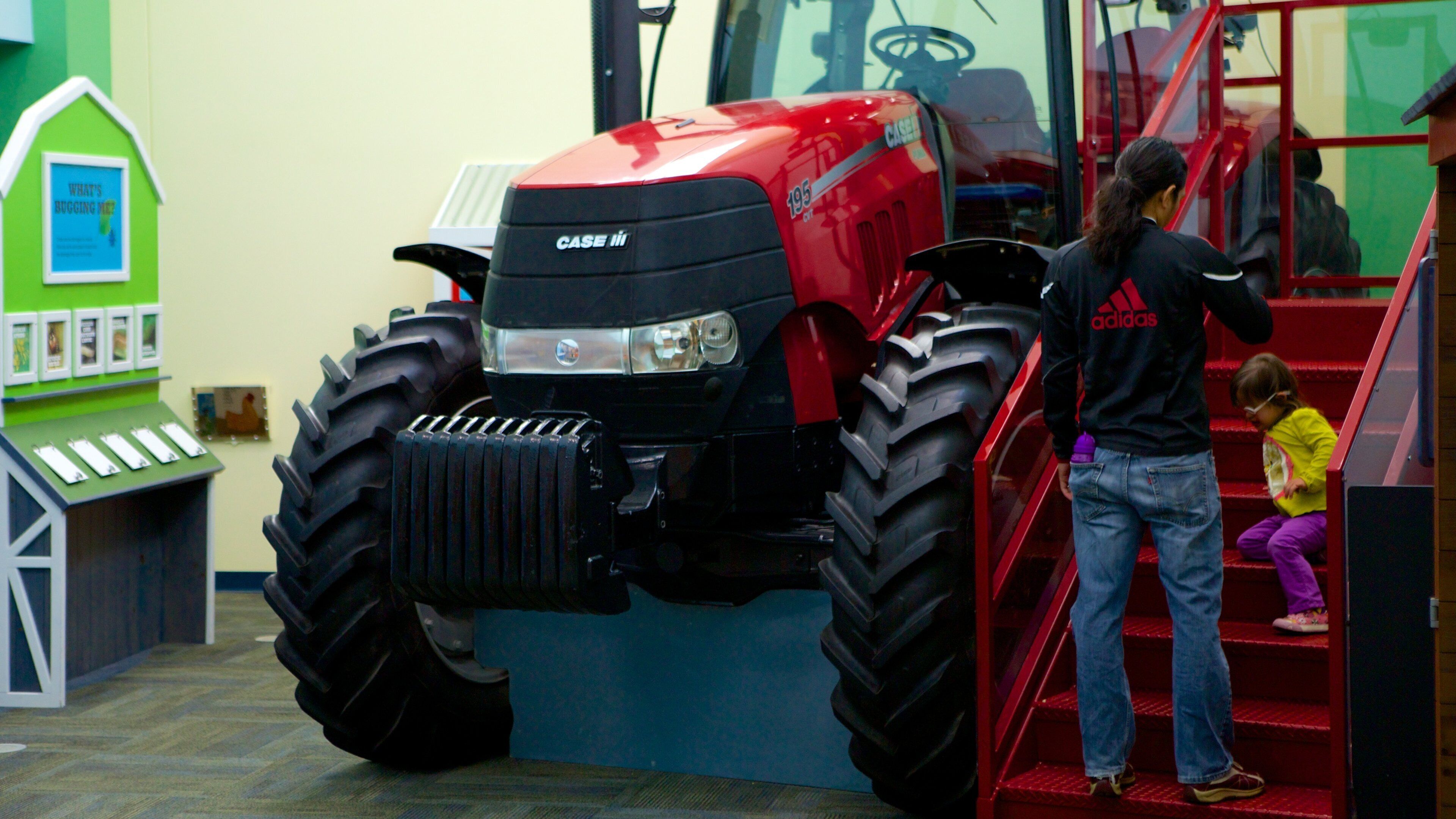 Burpee Museum of Natural History toont interieur