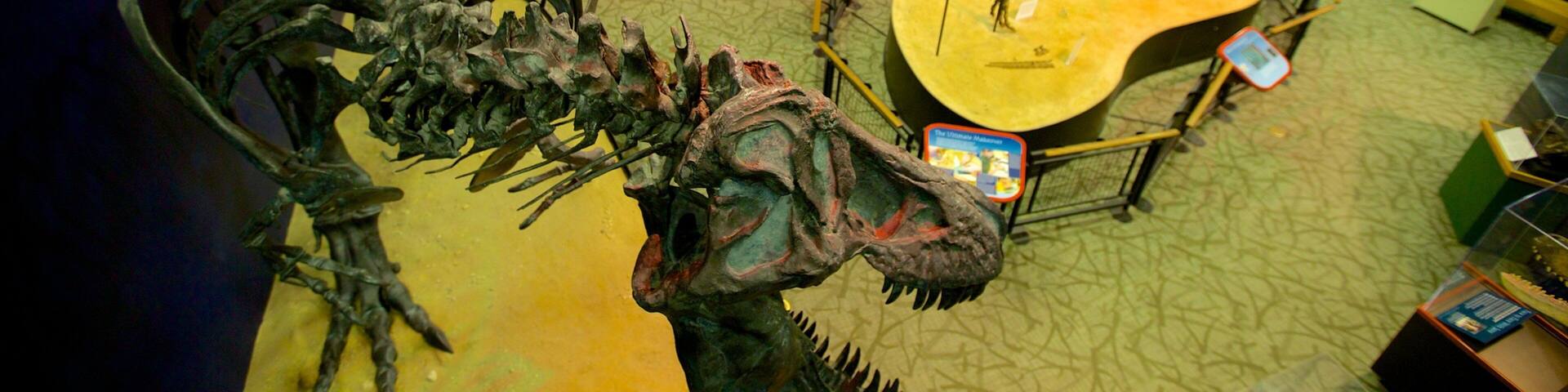 Burpee Museum of Natural History que incluye vistas interiores