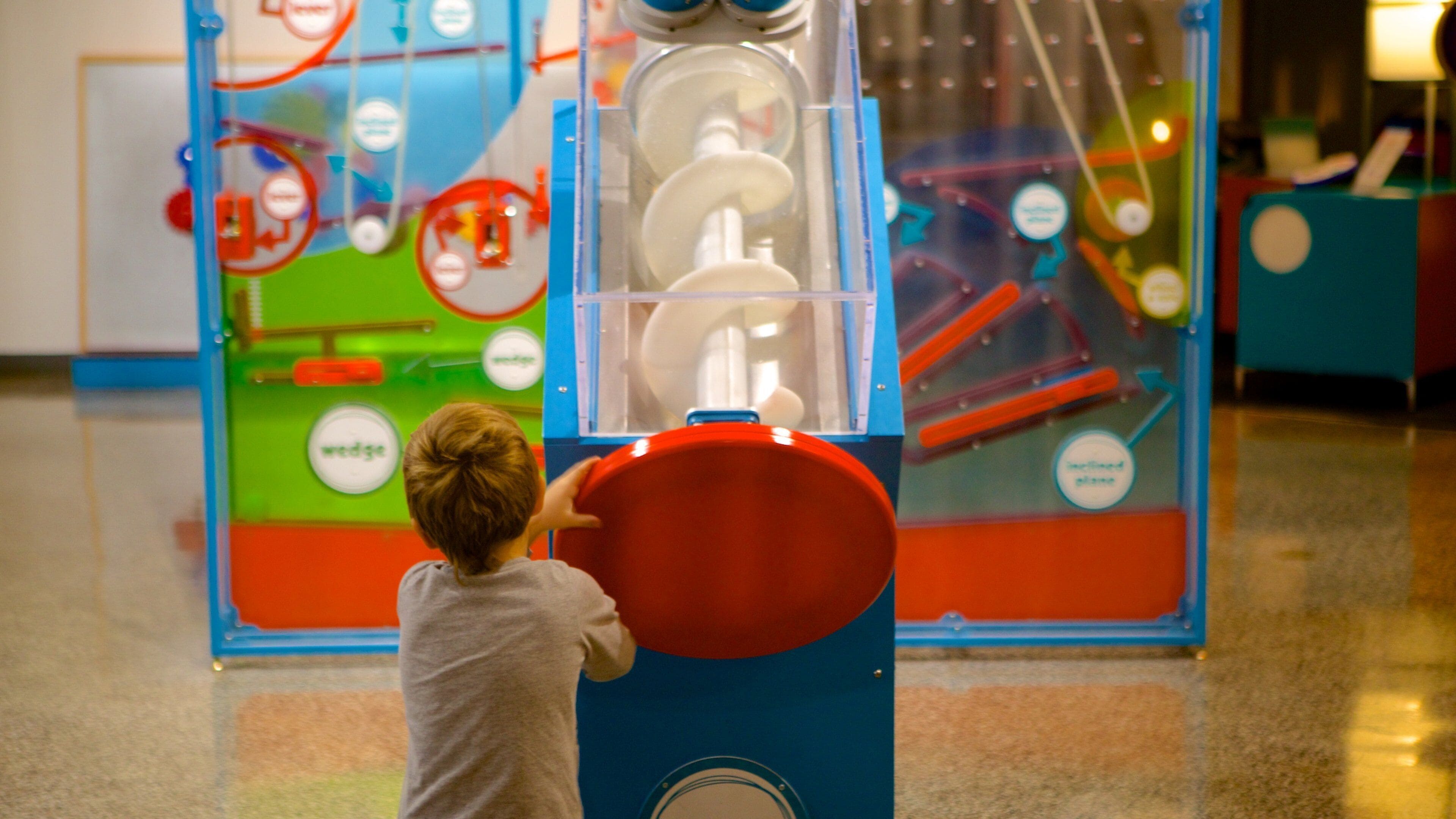 Burpee Museum of Natural History som viser innendørs