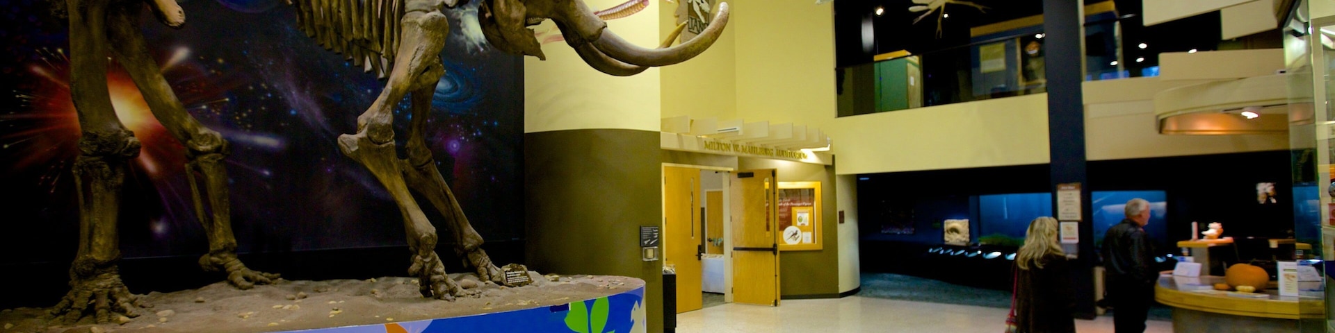 Burpee Museum of Natural History featuring interior views