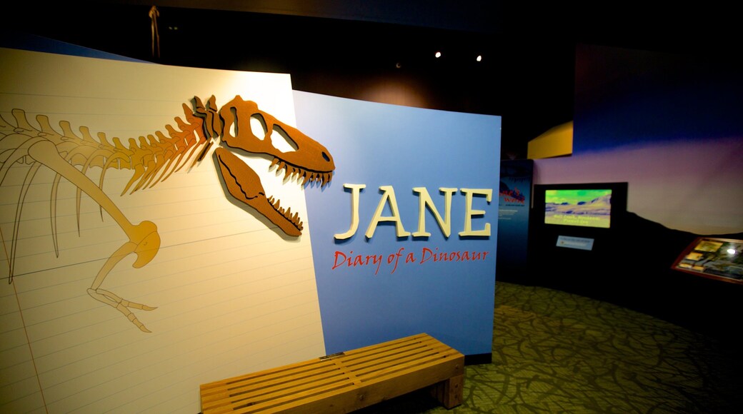 Burpee Museum of Natural History inclusief interieur