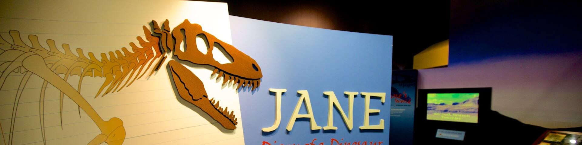 A dinosaur skeleton and a sign reading "JANE Diary of a Dinosaur".