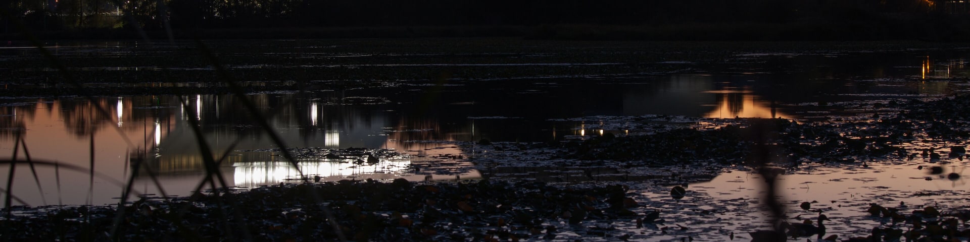 Husky Stadium Twilight
