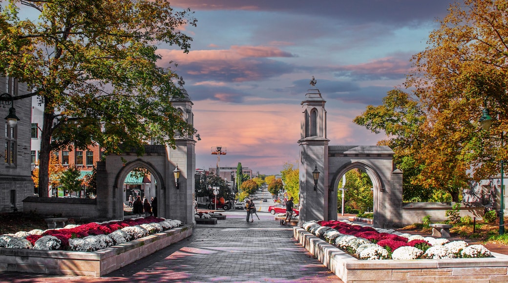 Indiana University Bloomington