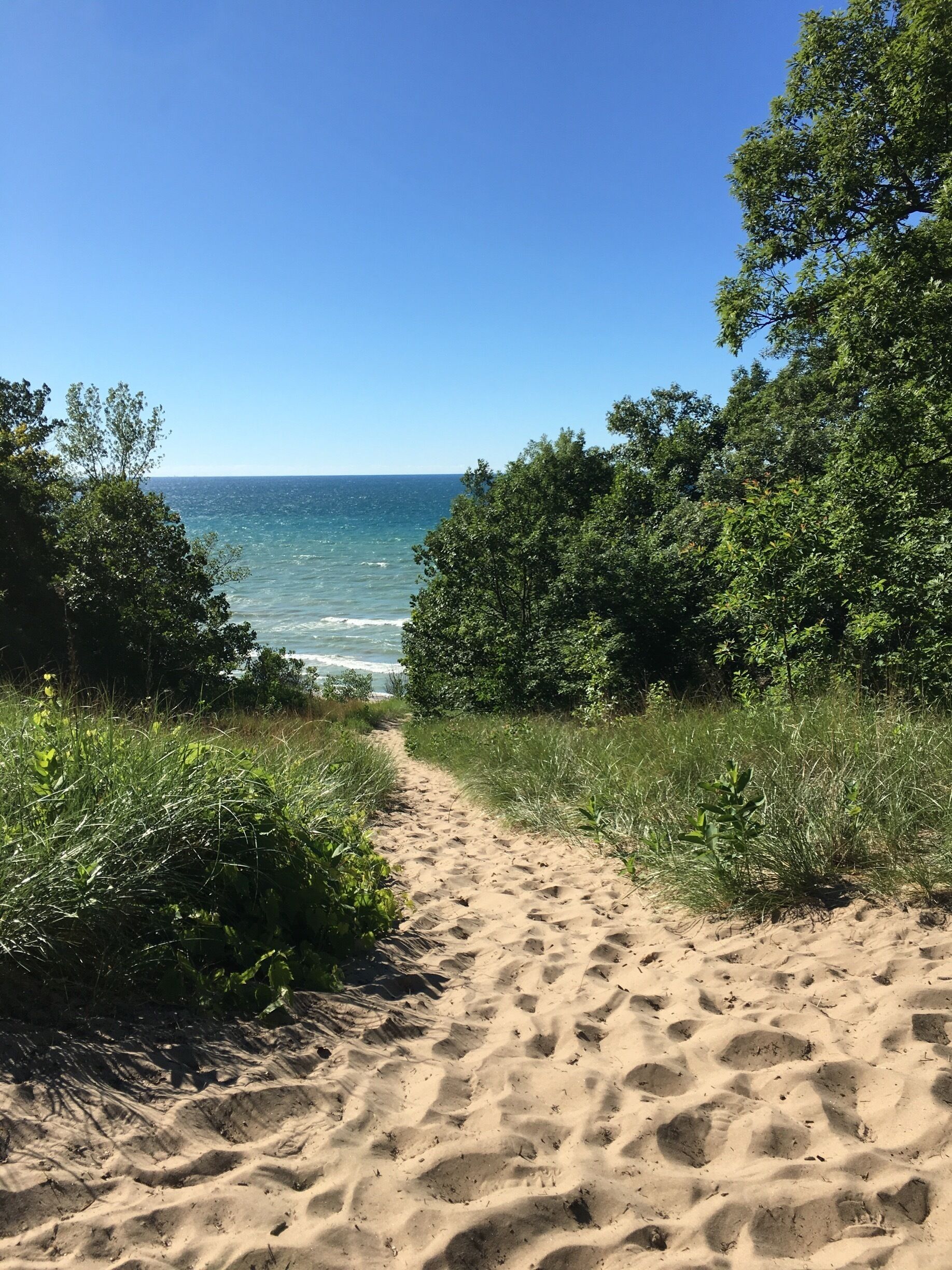 View from the top of one of the dunes of the Dune Challenge. The dune challenge is about 1.5 miles long and is considered a moderate trail. Part of the trail is made up of 3 dunes that are required  to be hiked up and down. The more challenging part being walking up a hill of loose sand. Great views though from the tops of those dunes. Challenge isn't the easiest but is certainly worth attempting it. Also has side trails if one wants to cut the challenge short. Camping and swimming are other activities that can be done at this park. 
#hiking