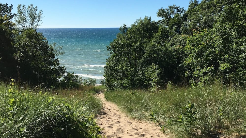 A sandy path leading to a beach with ocean views, surrounded by dense green foliage.