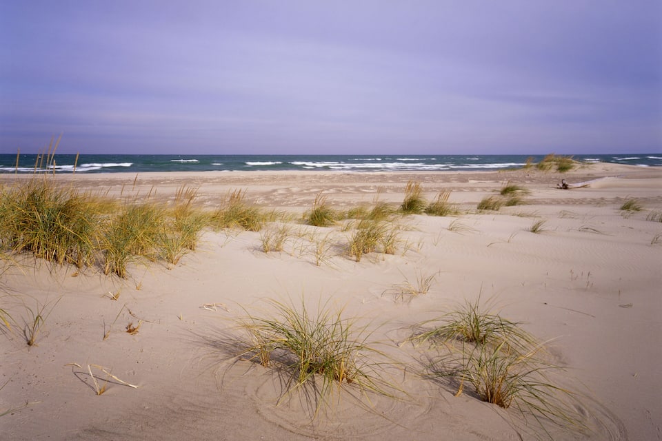 A sandy beach with sparse grass and waves in the background.