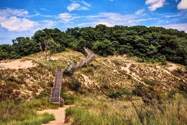 Eine Holztreppe führt einen bewalderten Hügel hinauf, im Hintergrund dichtes Grün.
