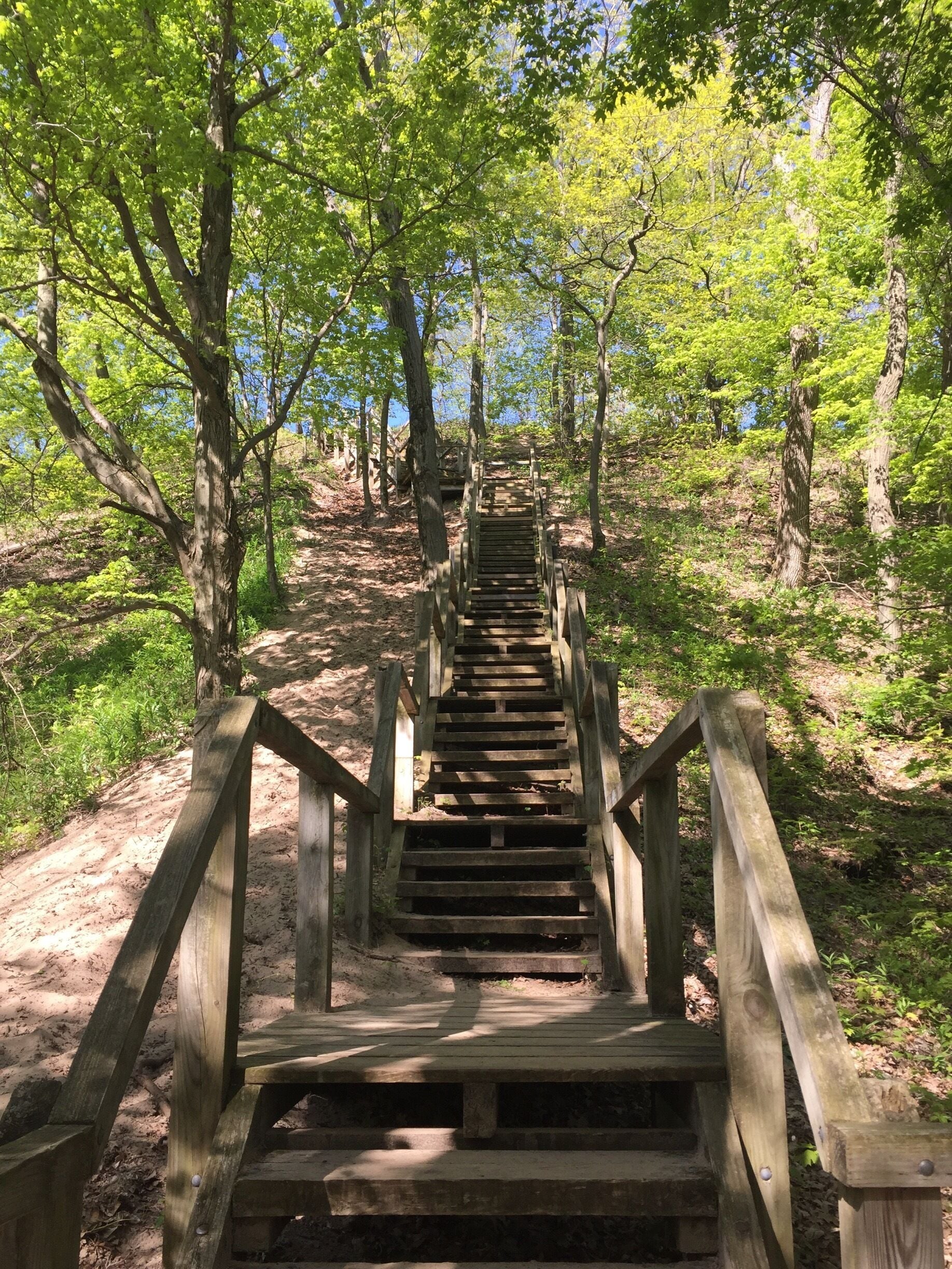 If you climb to the top of Mt. Tom, be prepared for a few steps up. 