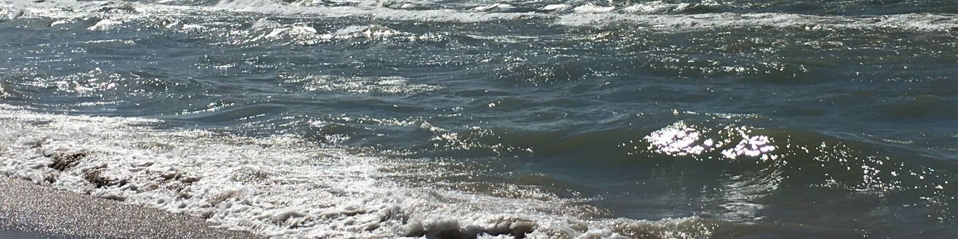Lake Michigan. Path off Trail 9 at one place leads right to the lake. Peaceful to just stand and watch and listen to the waves as they crash to the shore. Trail 9 is the trail to hike if one wants to see the most in the shortest time. Great views throughout the trail. The trail is over 3 miles long and is considered a moderate trail. But certainly worth it. One gets to hike through forest, dunes, and other natural environments and see such a variety of sights.
#hiking