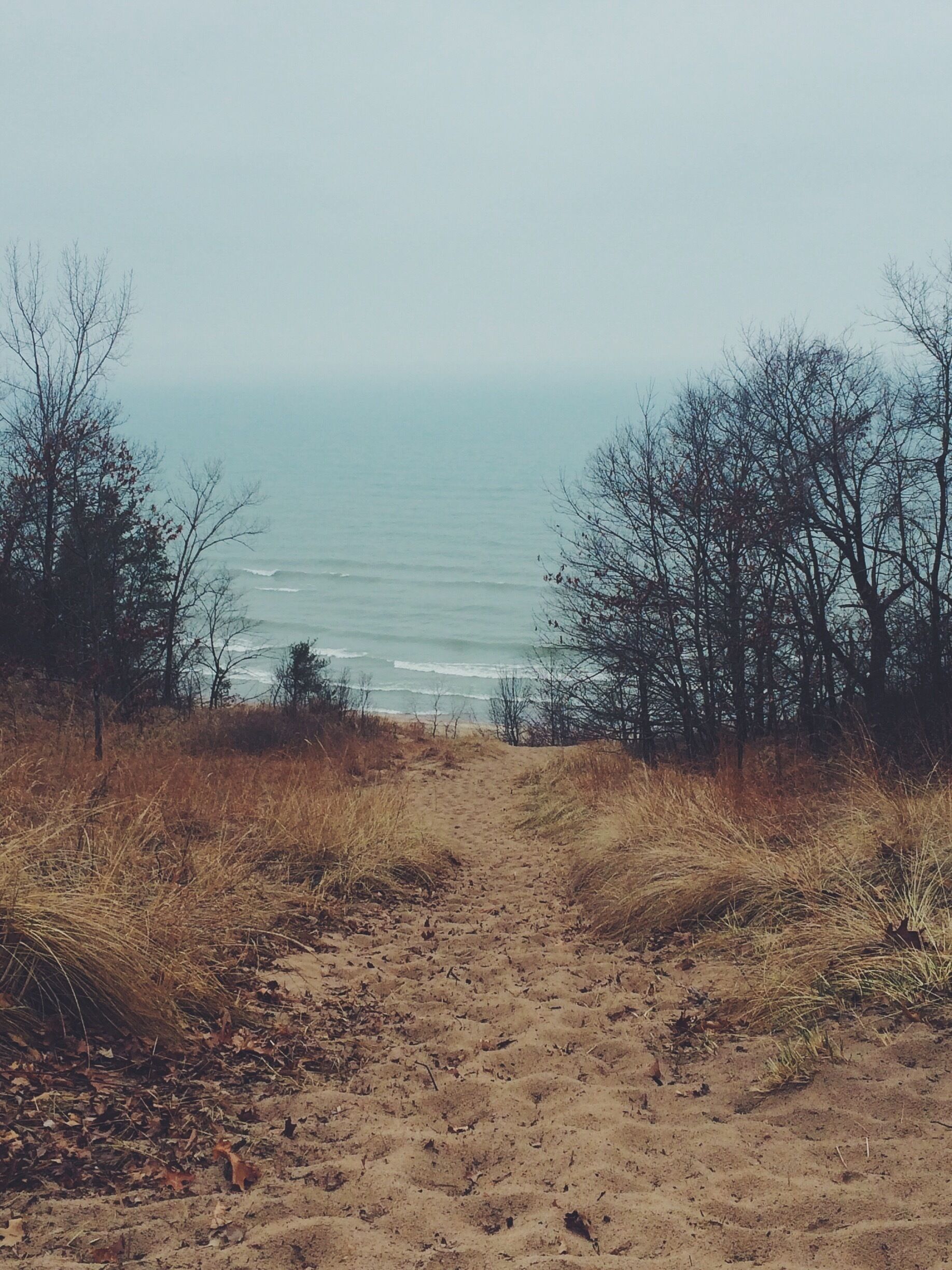 Gloomy day at Indiana Dunes trails