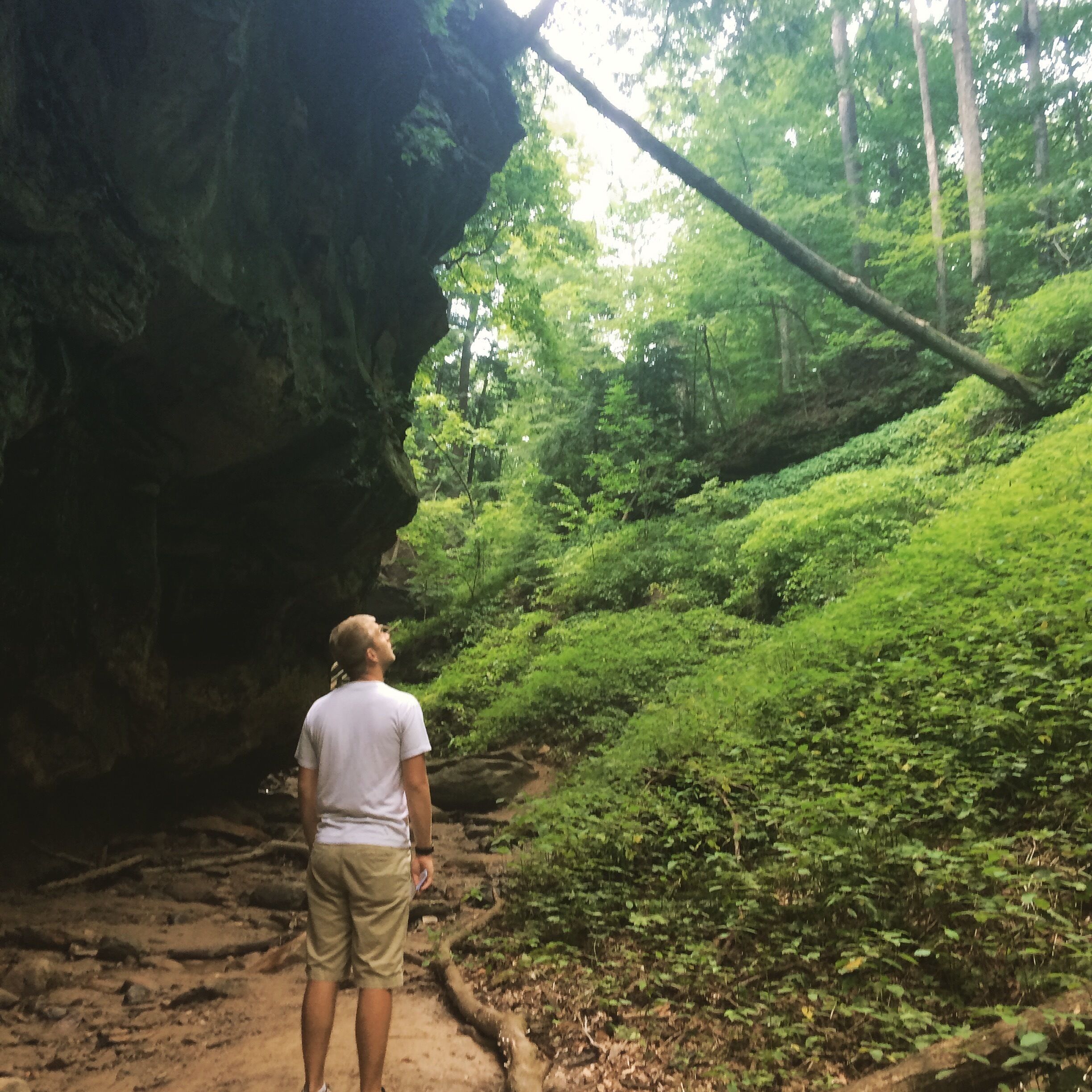 1.5 mile hike (depending on your route) connecting the campground to the Lodge at Turkey Run State Park. Moderate terrain with some great views!