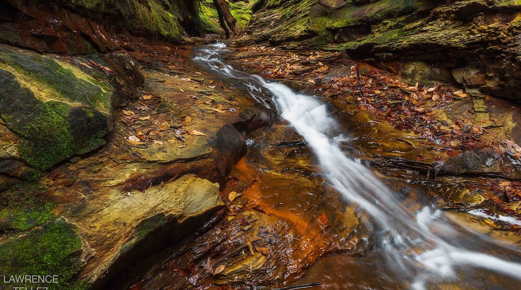 #indiana #waterfall #landscape #landscapephotography #outdoors