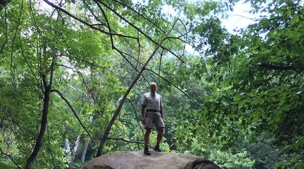 This huge boulder at Turkey Run State Park was neither easy to climb up or down