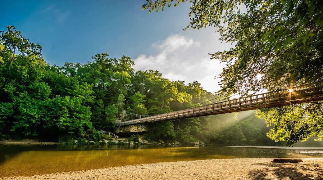 Suspension Bridge at Turkey Run State Park in Indiana