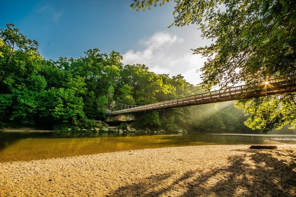 A wooden bridge over a river, surrounded by dense green trees and a clear sky.