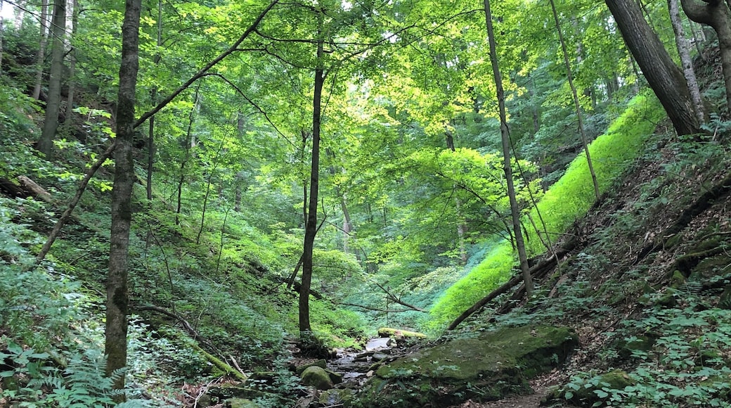 Sometimes an #Adventure is a conscious decision to let yourself find the depth of the places around you. On a hike, this spot blocked out all the noise and reminded us that you can see a lot further than you realize with a little calm and focus.