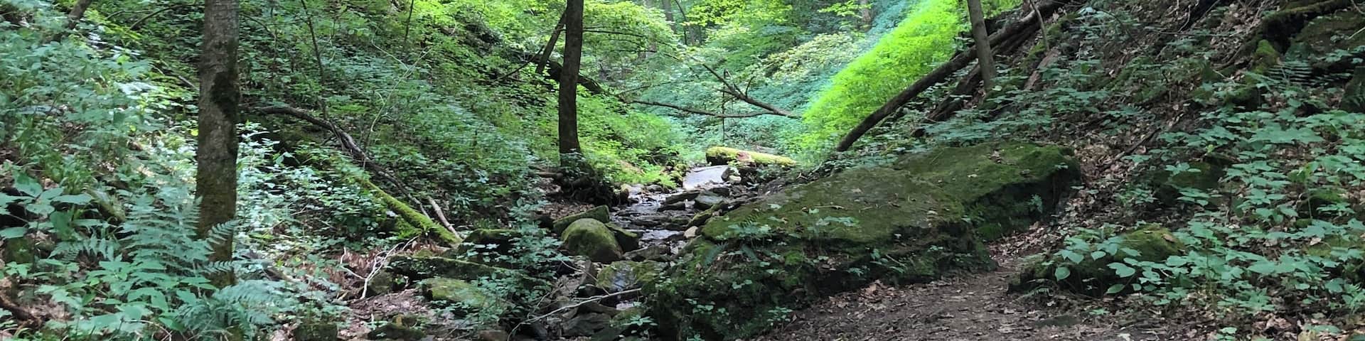 Sometimes an #Adventure is a conscious decision to let yourself find the depth of the places around you. On a hike, this spot blocked out all the noise and reminded us that you can see a lot further than you realize with a little calm and focus.