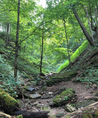 Sometimes an #Adventure is a conscious decision to let yourself find the depth of the places around you. On a hike, this spot blocked out all the noise and reminded us that you can see a lot further than you realize with a little calm and focus.