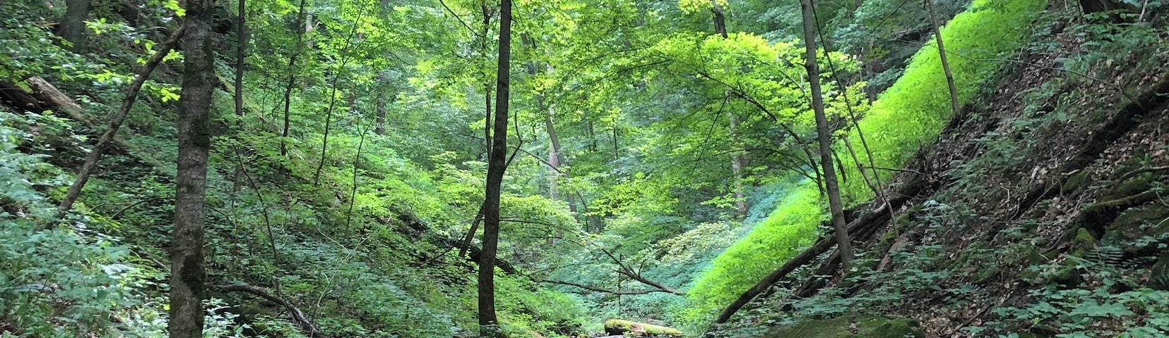 Sometimes an #Adventure is a conscious decision to let yourself find the depth of the places around you. On a hike, this spot blocked out all the noise and reminded us that you can see a lot further than you realize with a little calm and focus.