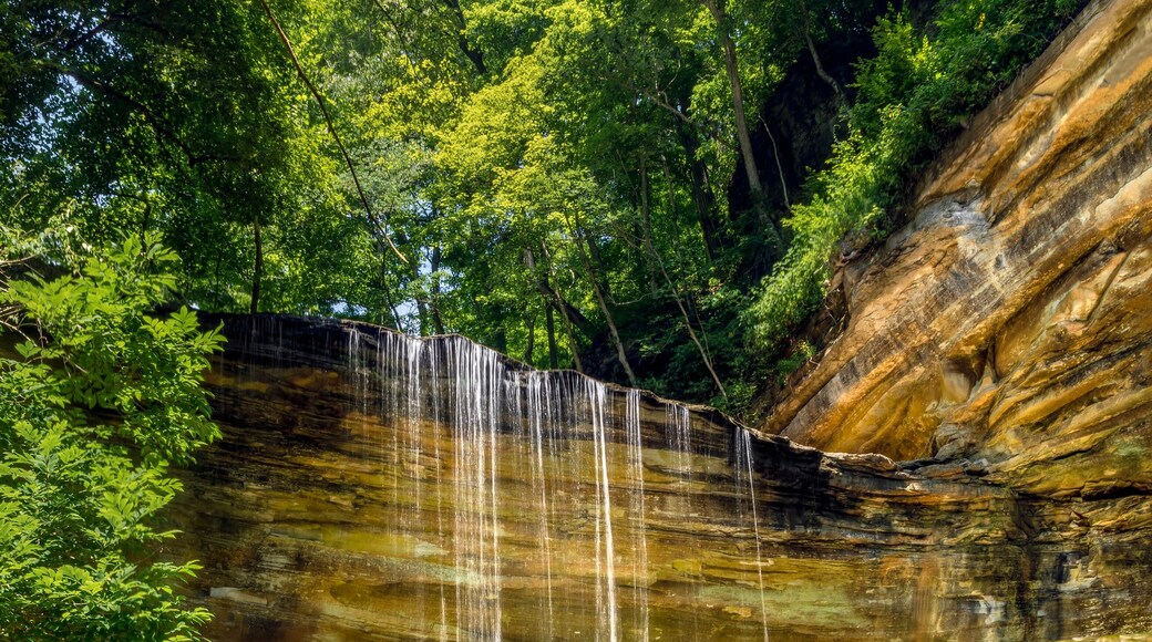 Clifty Falls State Park