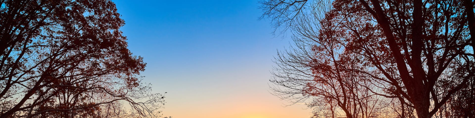 A sunset over a forest with dense trees and a clear sky.