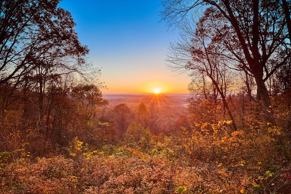 Ein Sonnenuntergang über einem Wald mit dichten Bäumen und wolkenlosem Himmel.