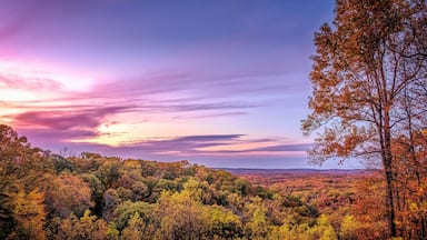 Un paisaje boscoso con follaje otoñal y un cielo al atardecer.