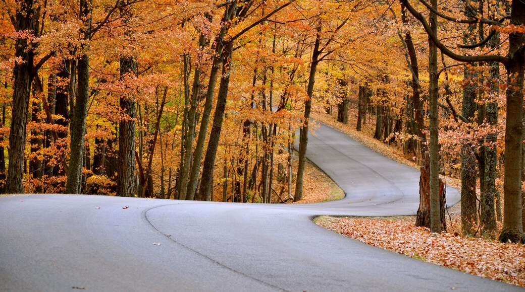 Brown County State Park