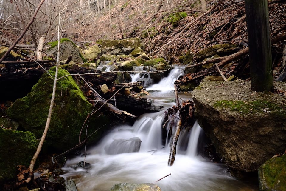 A small waterfall in a forested area with moss-covered rocks and fallen branches.
