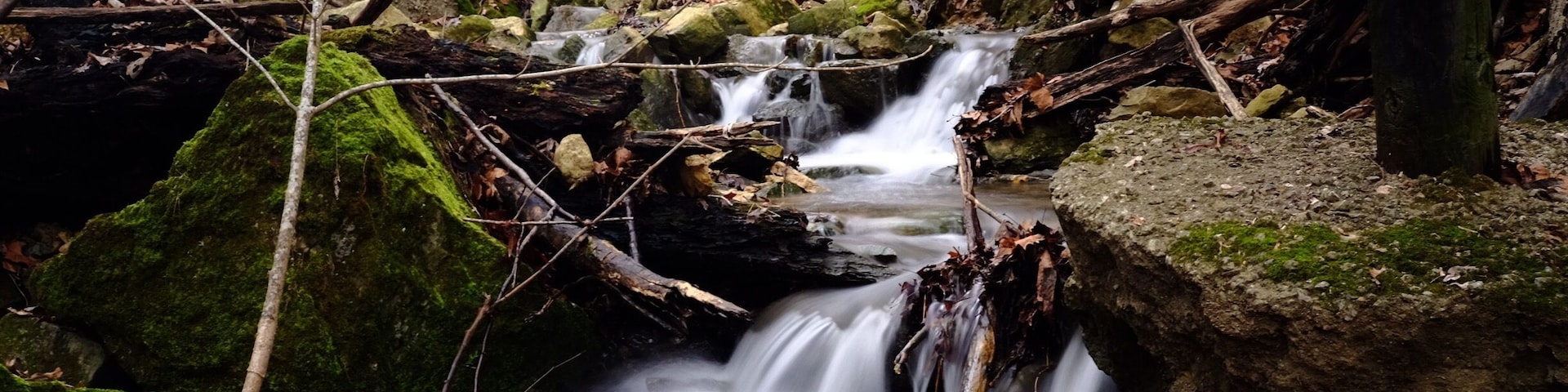 A small making its way to the Ohio River