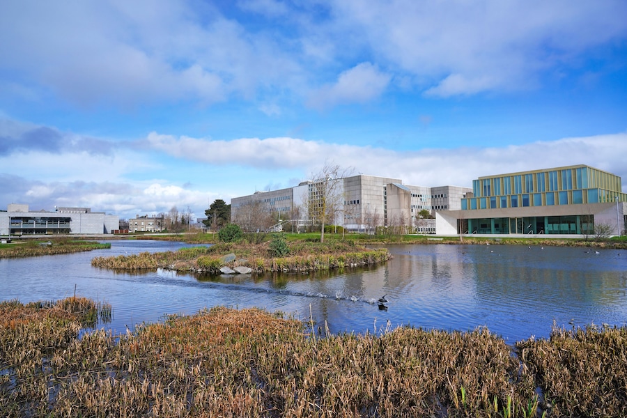 Suburban campus of University College, Dublin, with modern buildings and natural wetlands