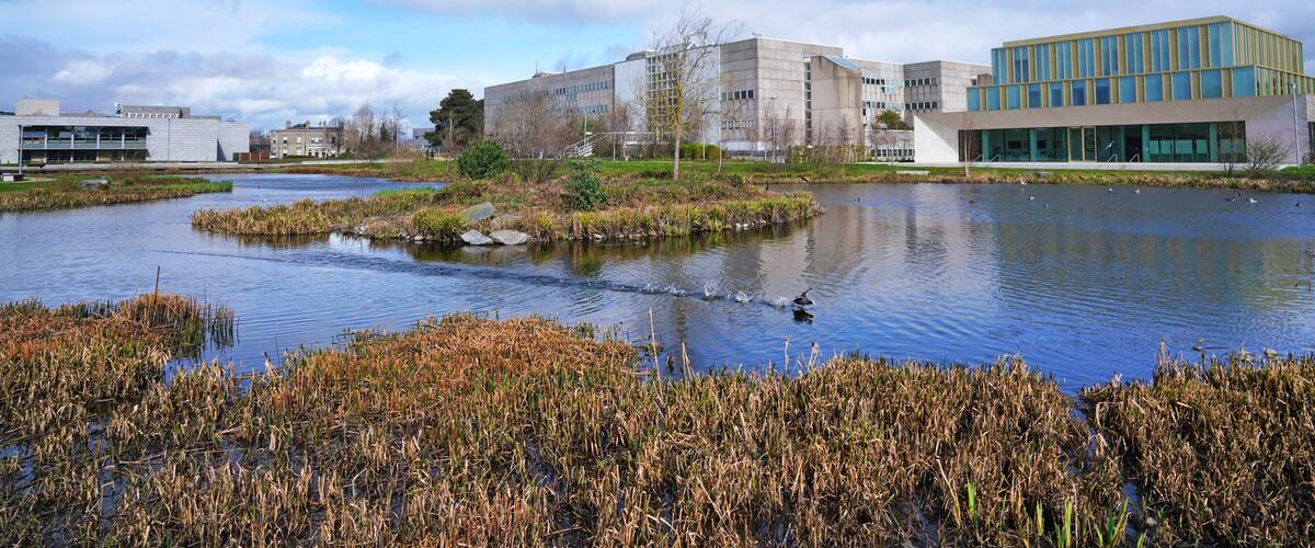 A river with buildings and a modern structure on the right.