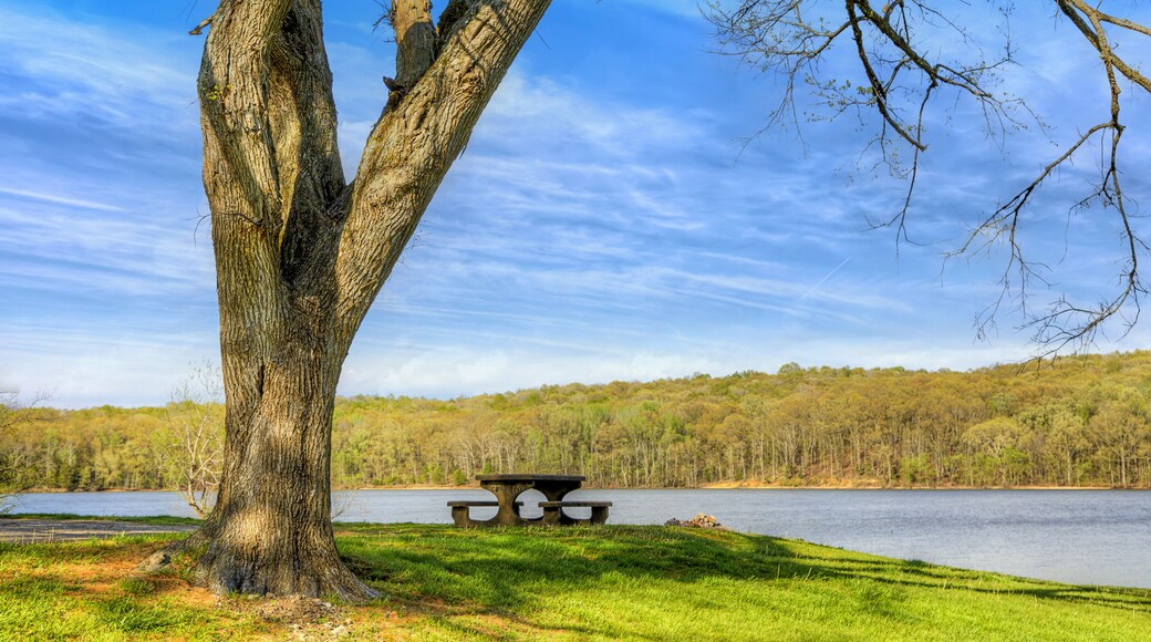 Land Between the Lakes National Recreation Area