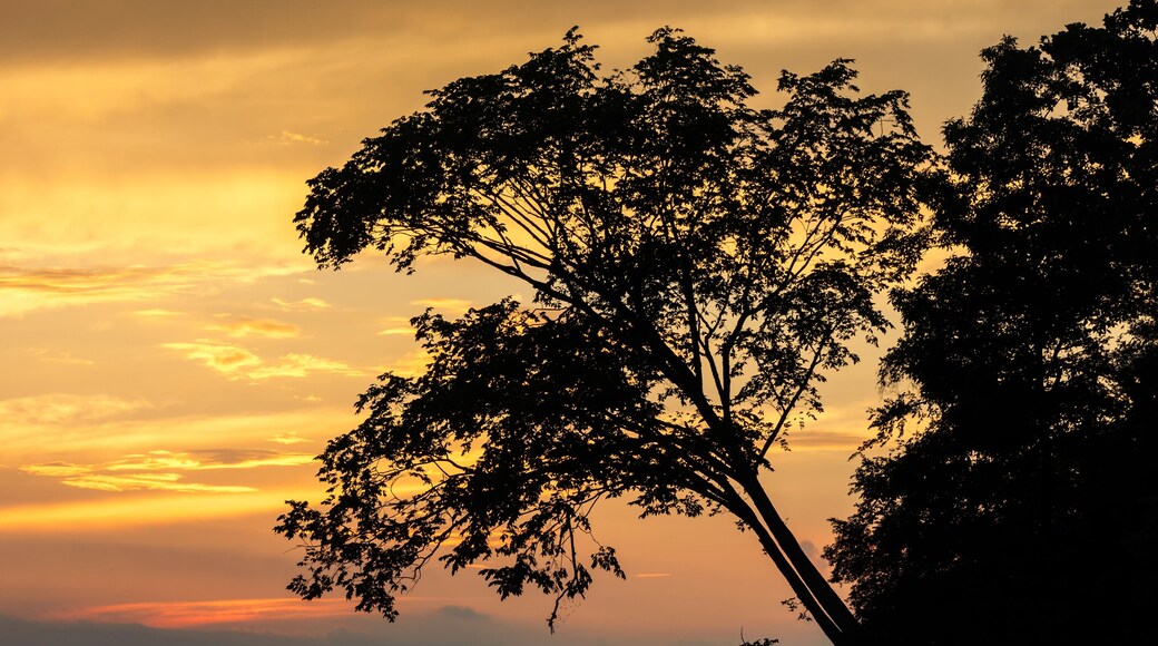 Land Between the Lakes National Recreation Area