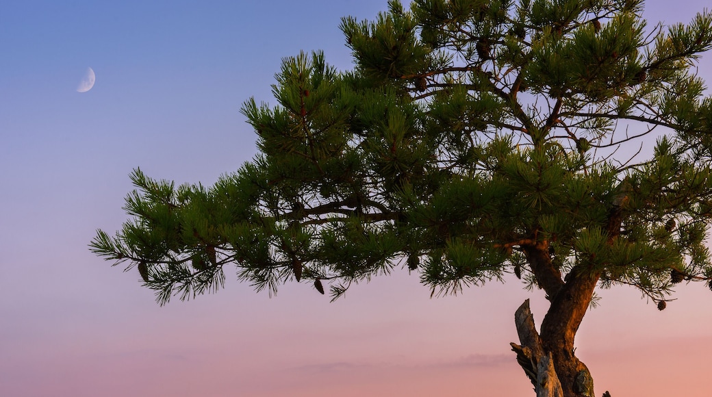 Scenic summer morning over Chimney Rock with fog filled valley in the Red River Gorge near Slade Kentucky
