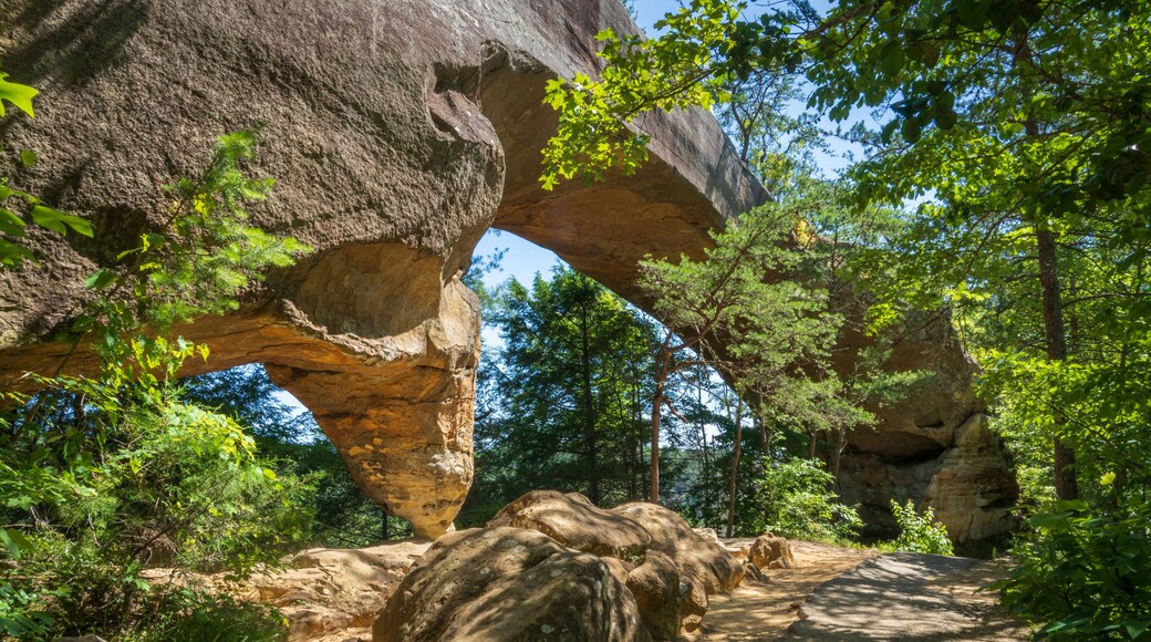 The Red River Gorge Geological Area in Kentucky