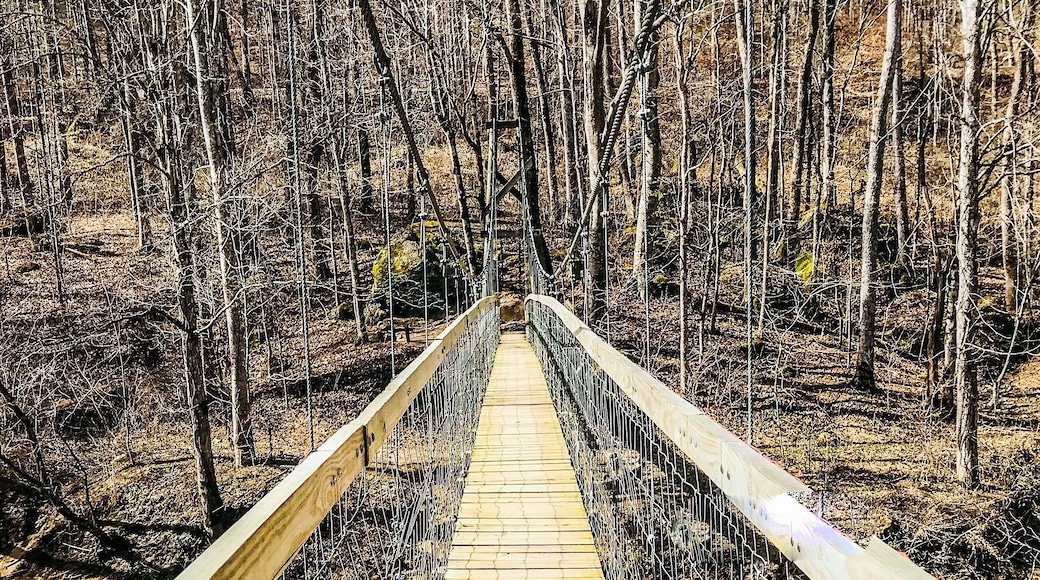 This suspension bridge is quite popular amongst the Red River Gorge park visitors. The hike is easy enough for the tiny hikers too. There is hiking trail parking, but it doesn’t have any picnic areas and only is equipped with 1 portable bathroom.