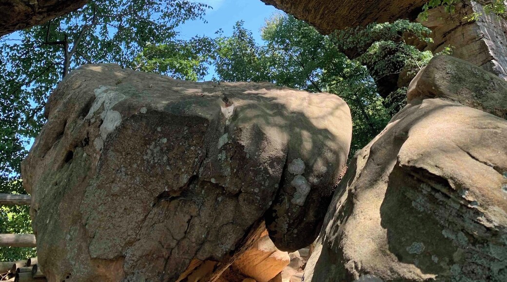 Standing under the Natural Bridge in Slade Kentucky.
Its namesake natural bridge is the centerpiece of the park. The natural sandstone arch spans 78 ft (24 m) and is 65 ft (20 m) high. The natural process of weathering formed the arch over millions of years. The park is approximately 2,300 acres (9 km2) of which approximately 1,200 acres (5 km2) is dedicated by the Office of Kentucky Nature Preserves as a nature preserve.
#Nature
