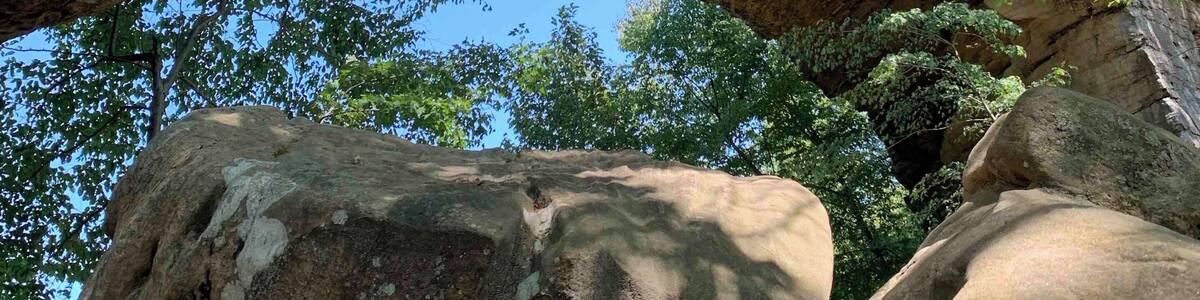 Standing under the Natural Bridge in Slade Kentucky.
Its namesake natural bridge is the centerpiece of the park. The natural sandstone arch spans 78 ft (24 m) and is 65 ft (20 m) high. The natural process of weathering formed the arch over millions of years. The park is approximately 2,300 acres (9 km2) of which approximately 1,200 acres (5 km2) is dedicated by the Office of Kentucky Nature Preserves as a nature preserve.
#Nature