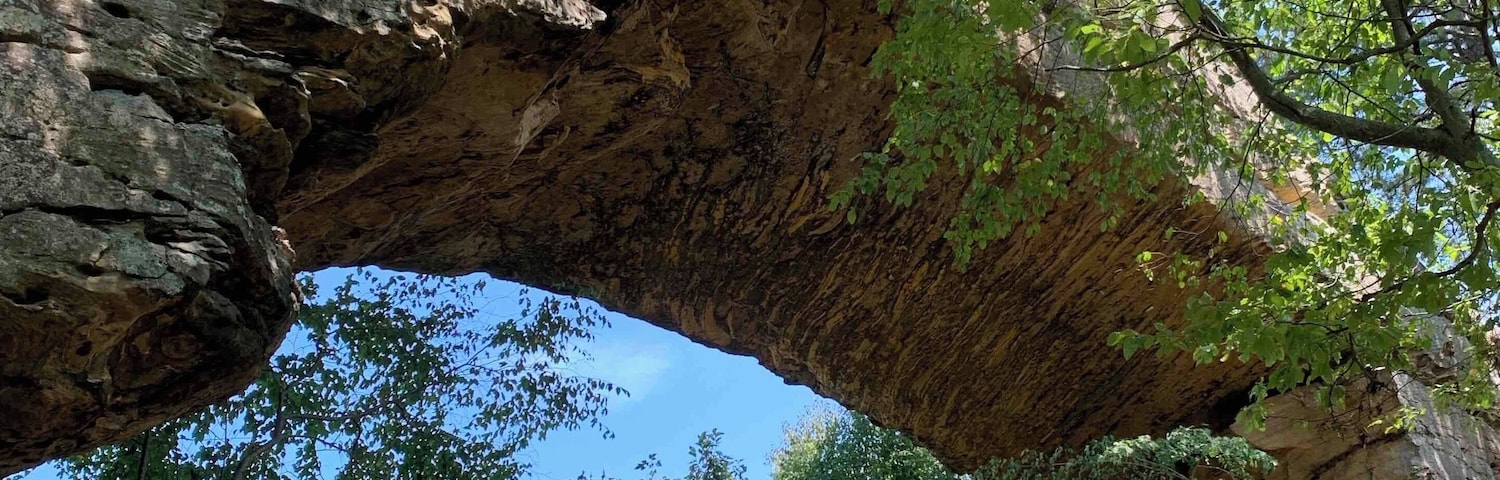 Standing under the Natural Bridge in Slade Kentucky.
Its namesake natural bridge is the centerpiece of the park. The natural sandstone arch spans 78 ft (24 m) and is 65 ft (20 m) high. The natural process of weathering formed the arch over millions of years. The park is approximately 2,300 acres (9 km2) of which approximately 1,200 acres (5 km2) is dedicated by the Office of Kentucky Nature Preserves as a nature preserve.
#Nature