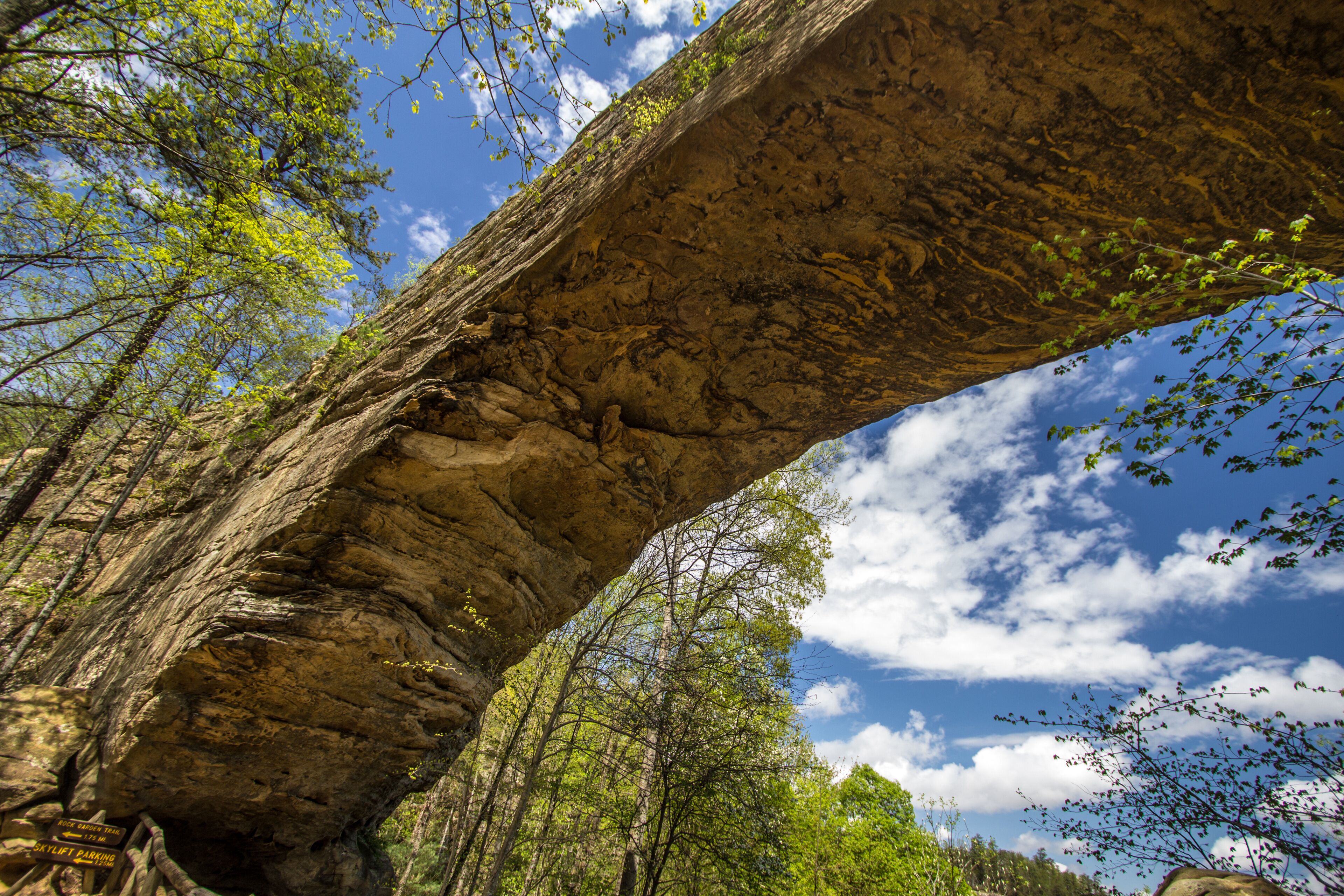 Parque estatal Natural Bridge