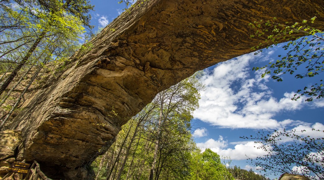 Natural Bridge Stone Arch. Visitors to Natural Bridge State Park can ride a skylift to view and walk across the sandstone arch.
