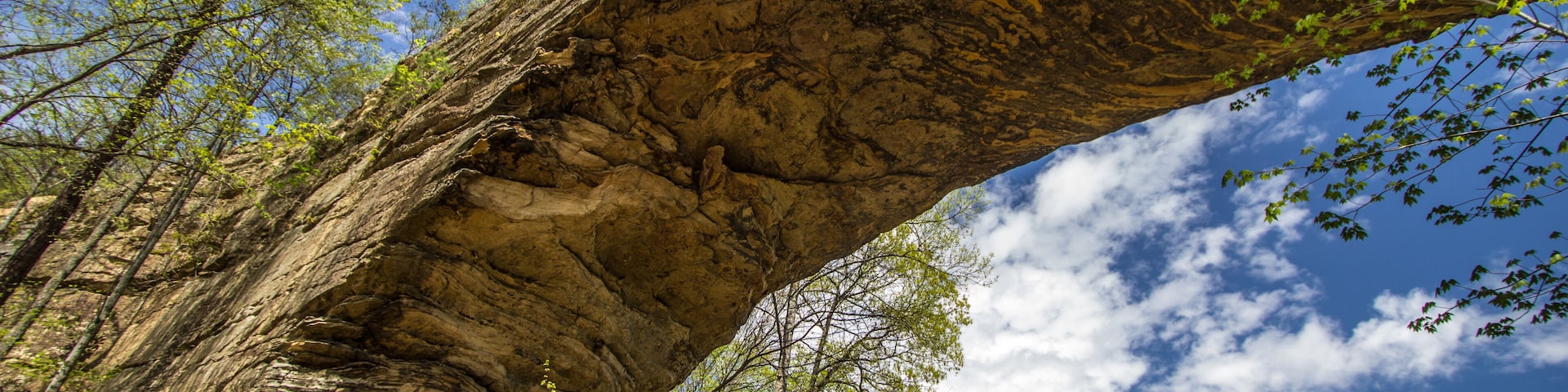 Una gran formación rocosa en arco sobre un área boscosa, con cielo azul despejado arriba.
